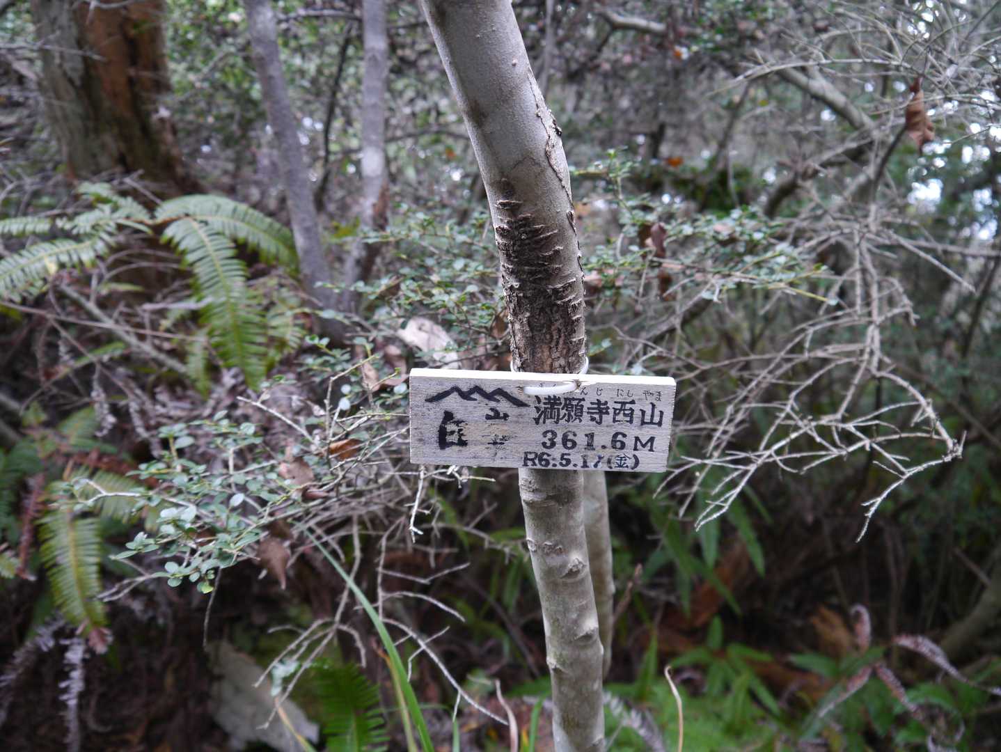 こちらにも