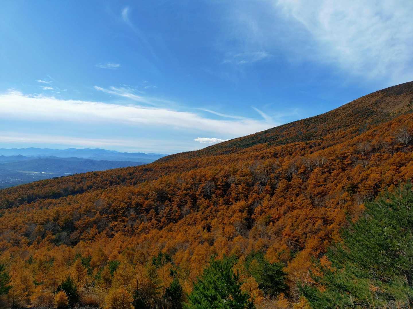 小浅間山-峰の茶屋バス停 縦走コースの写真
