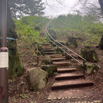 そろそろ山頂ありそうです