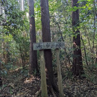 雨乞山。特に展望とか無いんですが、折角なので寄り道。