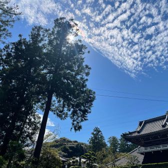 無事下山してきました😄
久しぶりの青空山歩き、最高に気持ち良かった〜😆最高〜😆

こころを癒やしてくれて、有難う白米城❗️