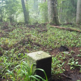 ジミ山頂ながら、三等三角点あり