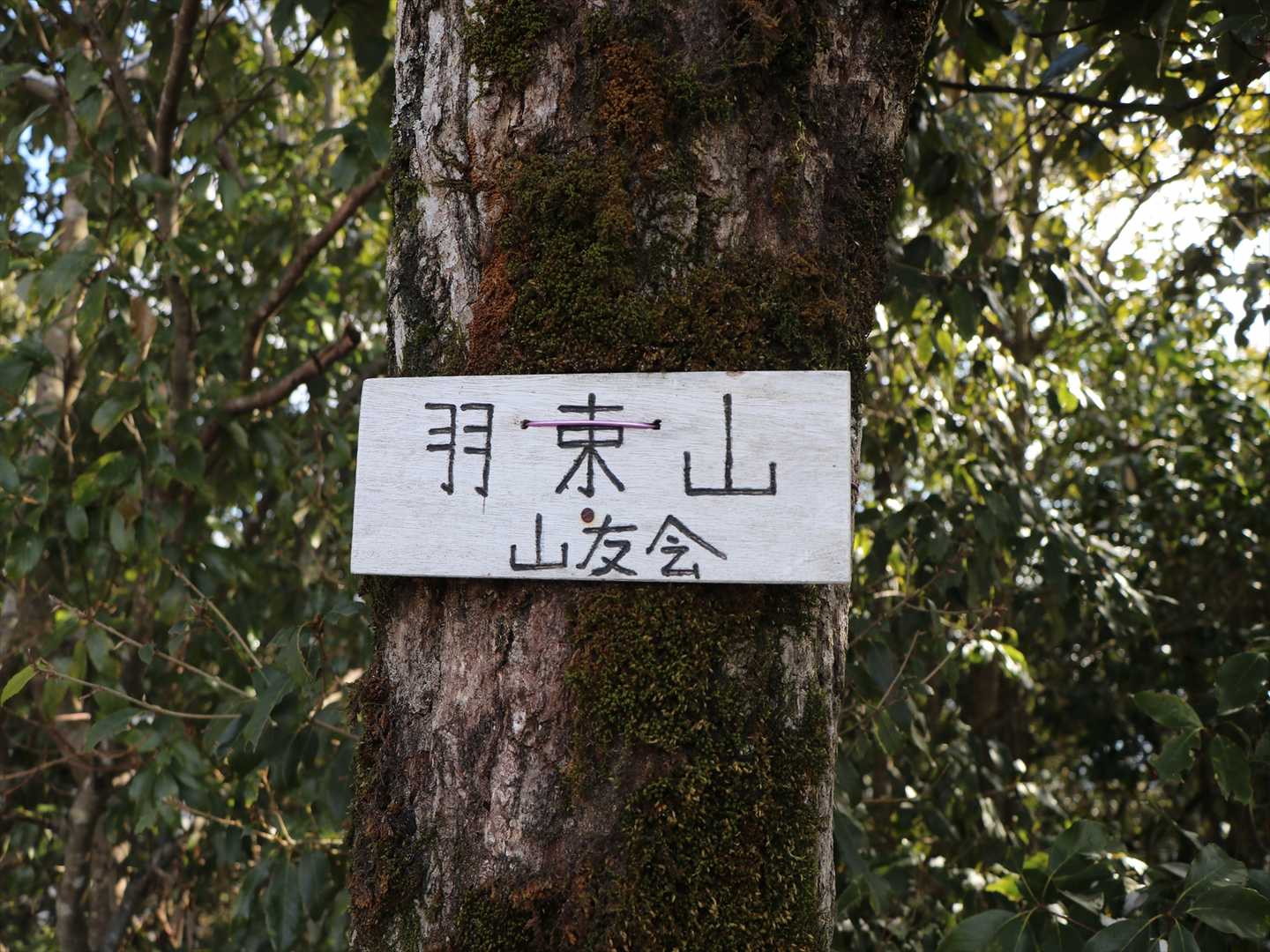 羽束山 周回コースの写真