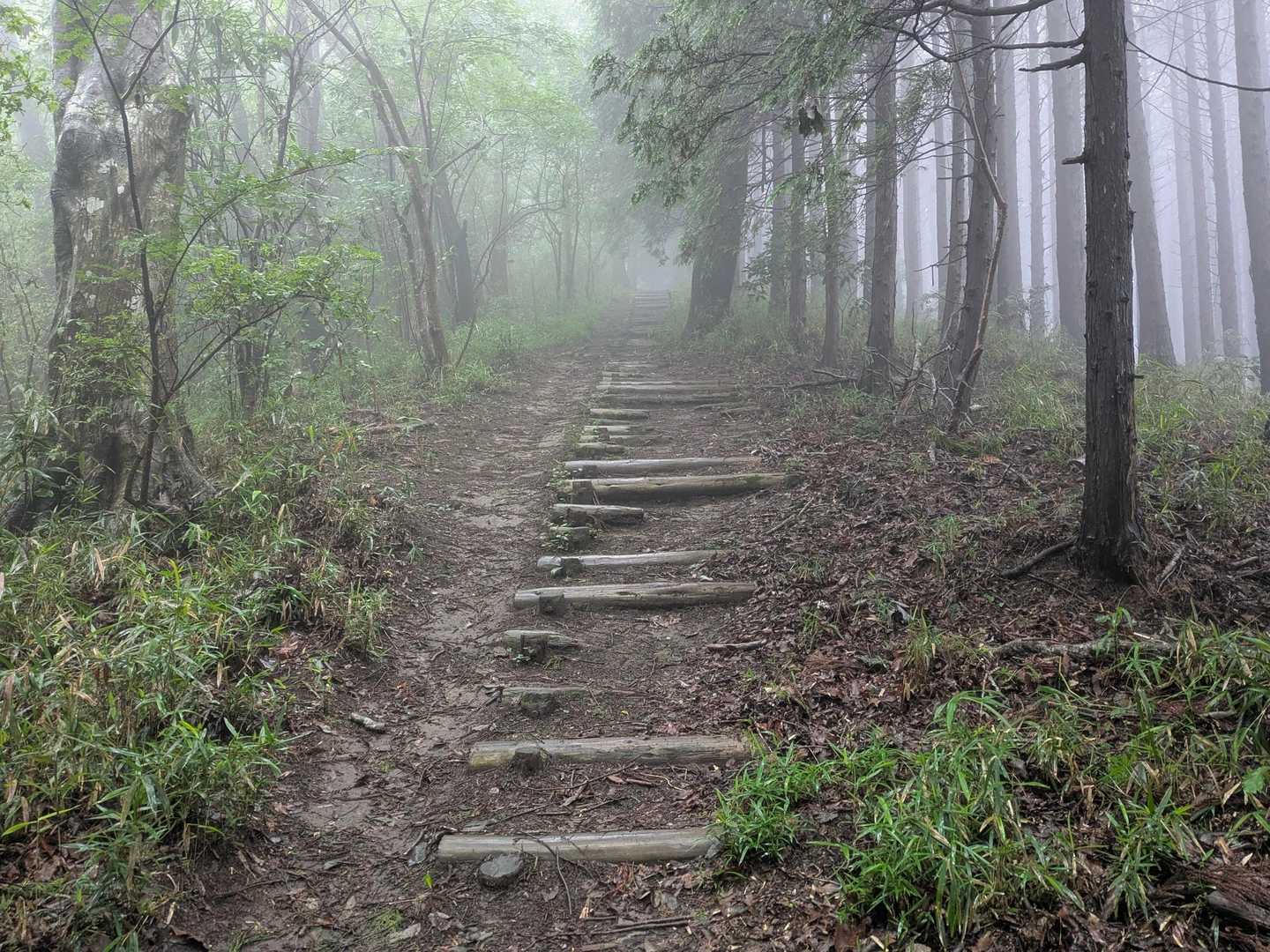 階段☝️