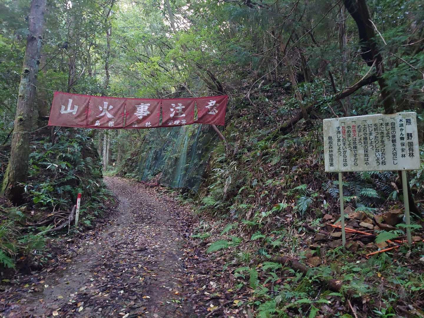 熊野国有林。
昔は熊野大社がこの山にあったんだとか。