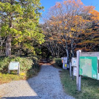 東大台を時計回りでスタート