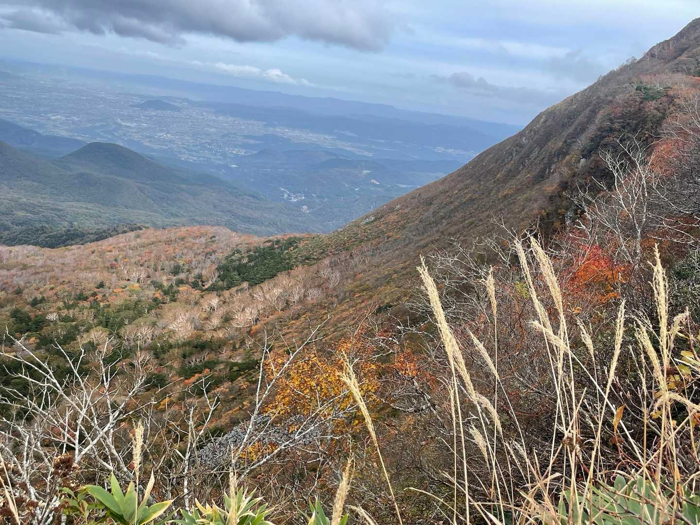 こちら側はすこーし紅葉残っています