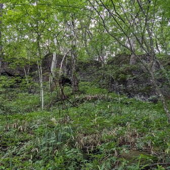 ここを登ればもうすぐ烏帽子ヶ岳山頂