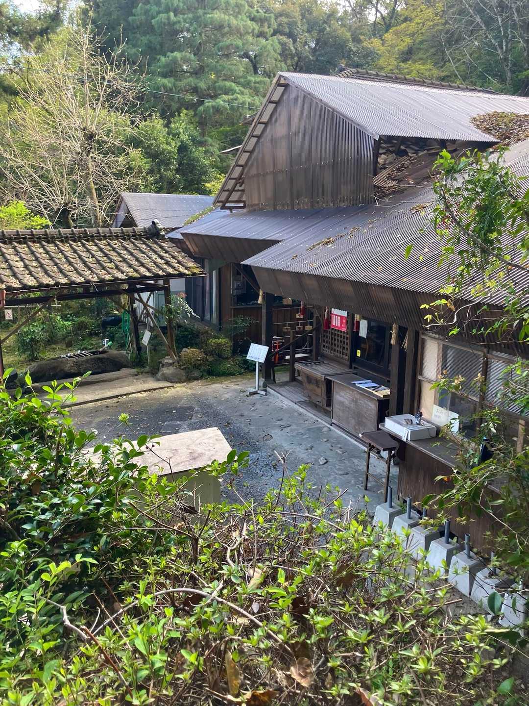 八天神社に帰着です。