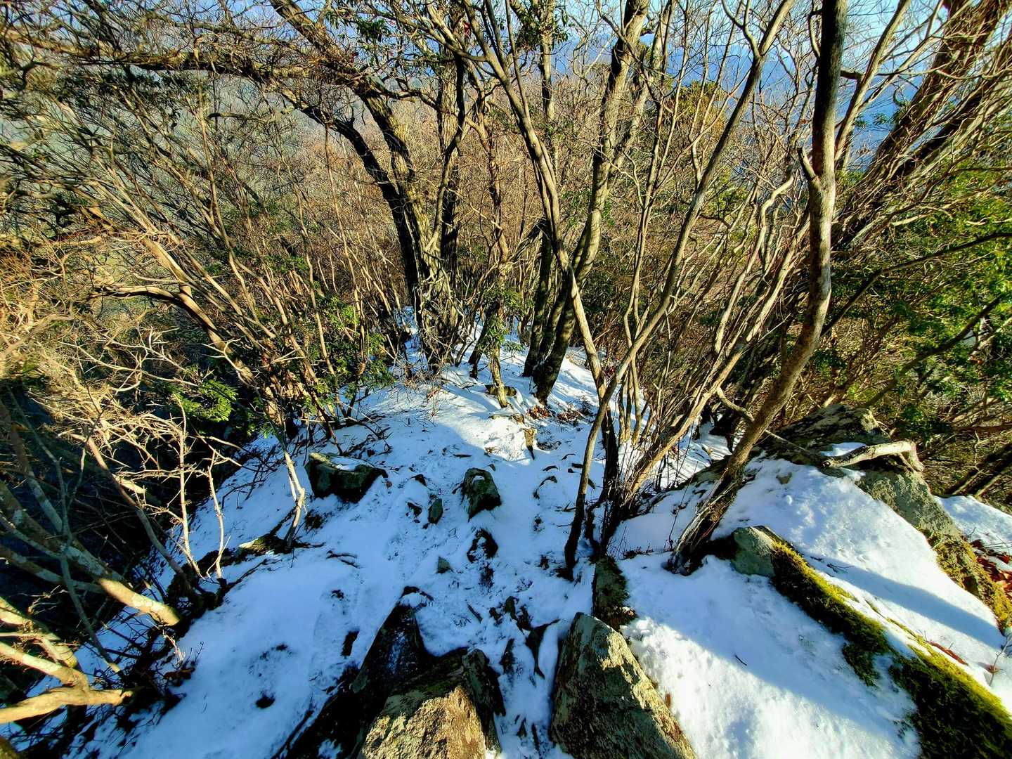 明剣岳-三角点山-明神山 周回コースの写真