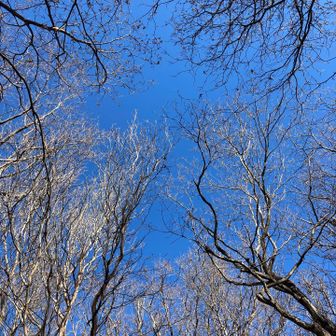 北摂大峰山の山頂の真上