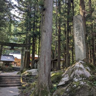 すっばらしぃ✨⛩️
パワースポットでした🤩