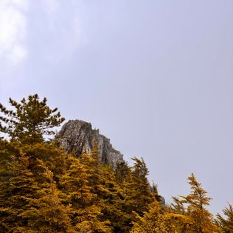 帰りはちょっと怖い箇所も。
武信白岩山山頂には行ってません。(ちょっと興味あり。)