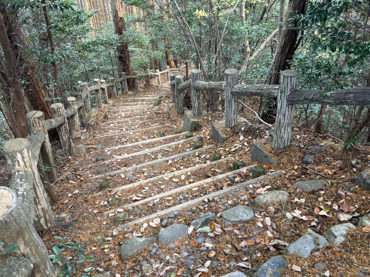 下りは階段が多かった。
登りはほぼアス道‥どちらも登りたくない‥