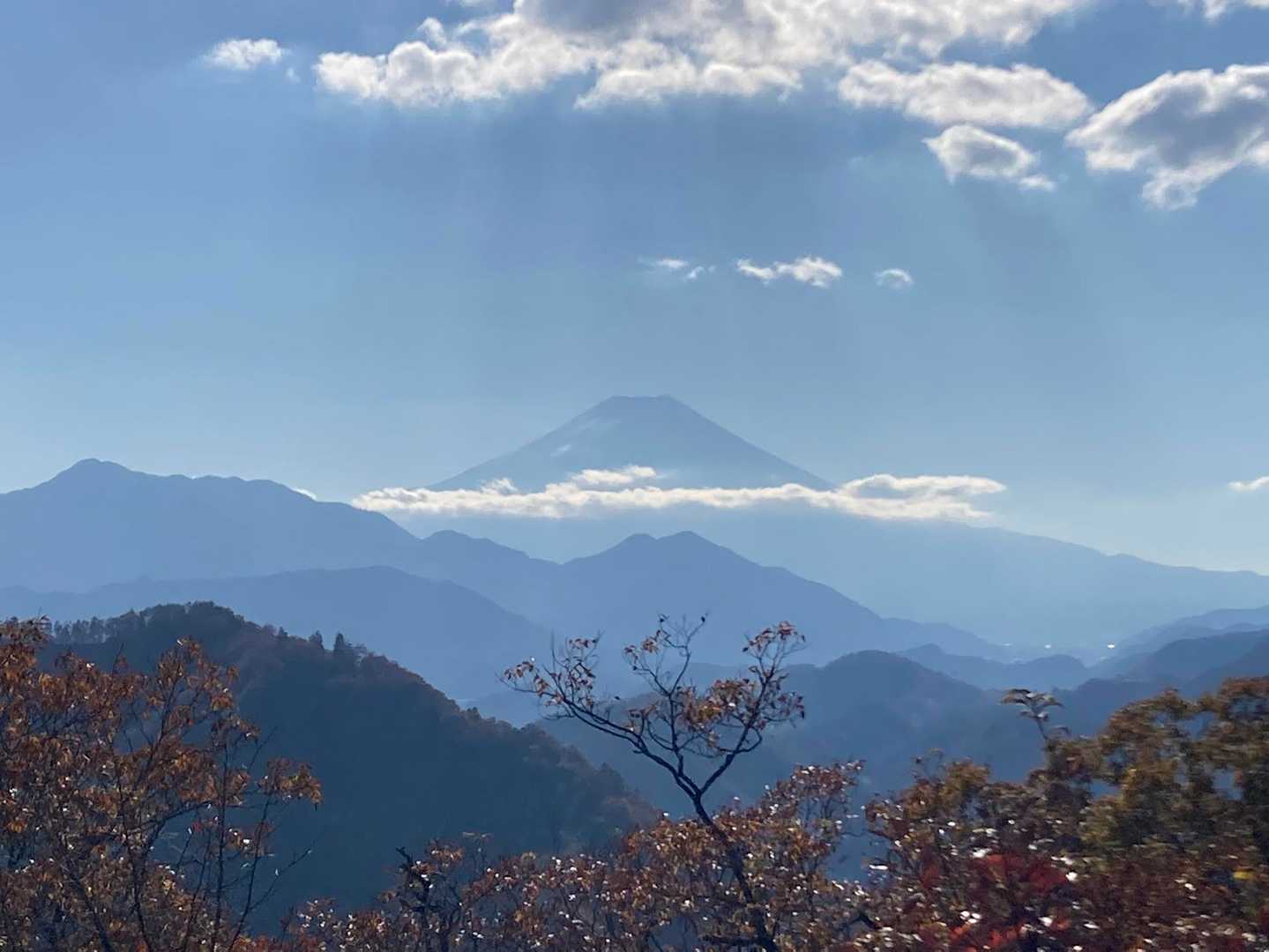菊花山から🗻