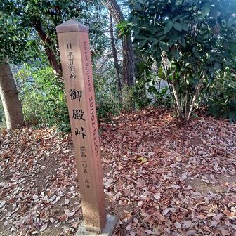 日本百名峠の御殿峠
武田信玄や豊臣秀吉の軍勢も通った…川越と小田原を結ぶ戦国の古道、そして近年は絹の道の交易ルート