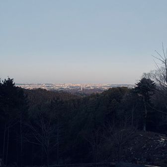 草戸山から市街地の夜景がひろがります✨