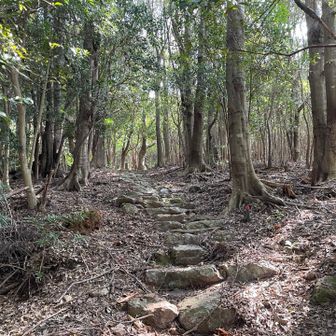 切原浅間山を目指します