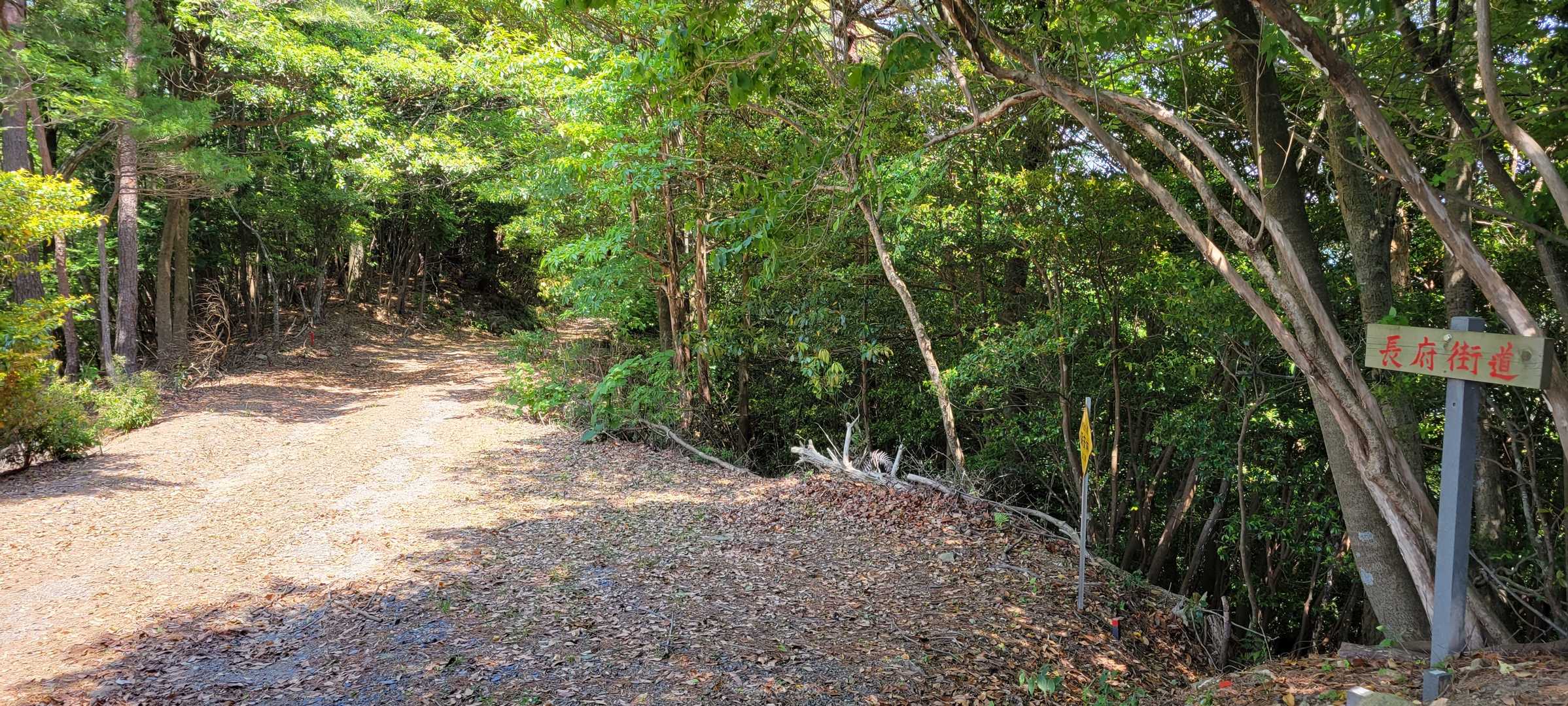 長府街道なる名前が✨
他にもくるそん道ってありましたが、ショートカット出来たのかな⁉️🤔
