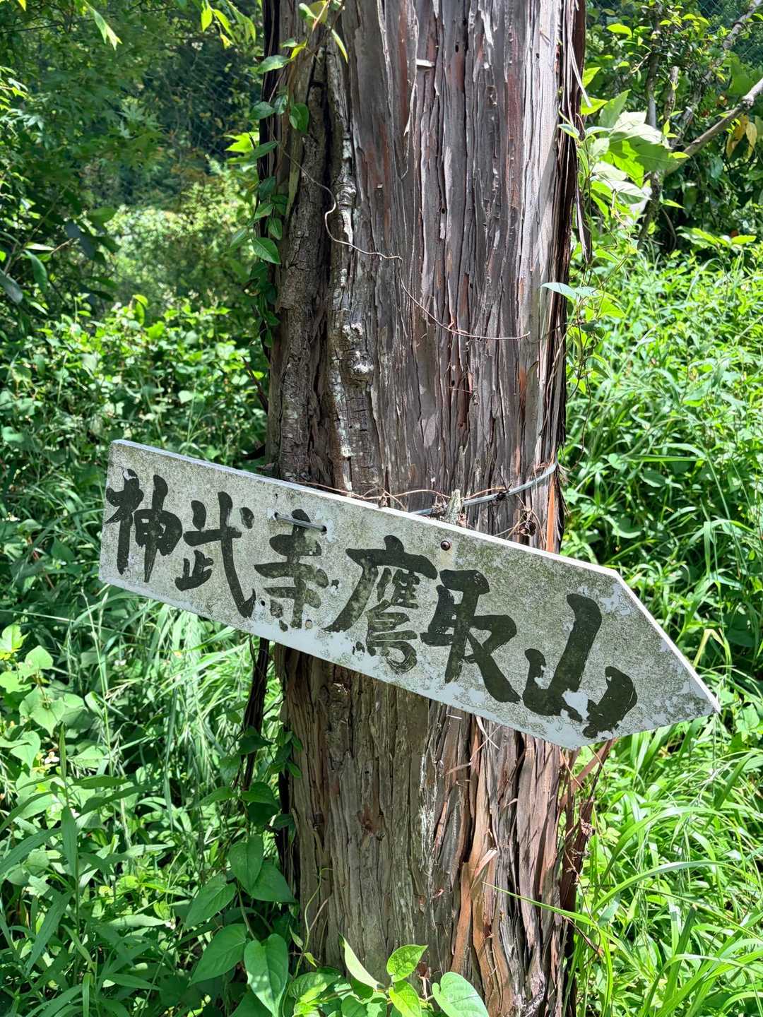 神武寺駅-鷹取山 周回コースの写真