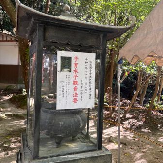 11月1日か〜