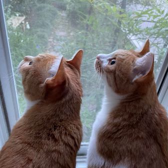 ゆうこ♾️(ゲイリー♡)