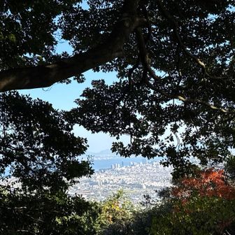 木々の中で数少ない眺望場所