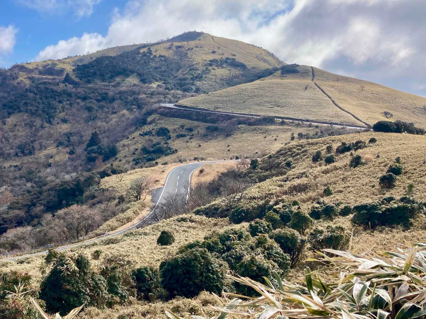 だるま山高原-金冠山-達磨山 往復コースの写真