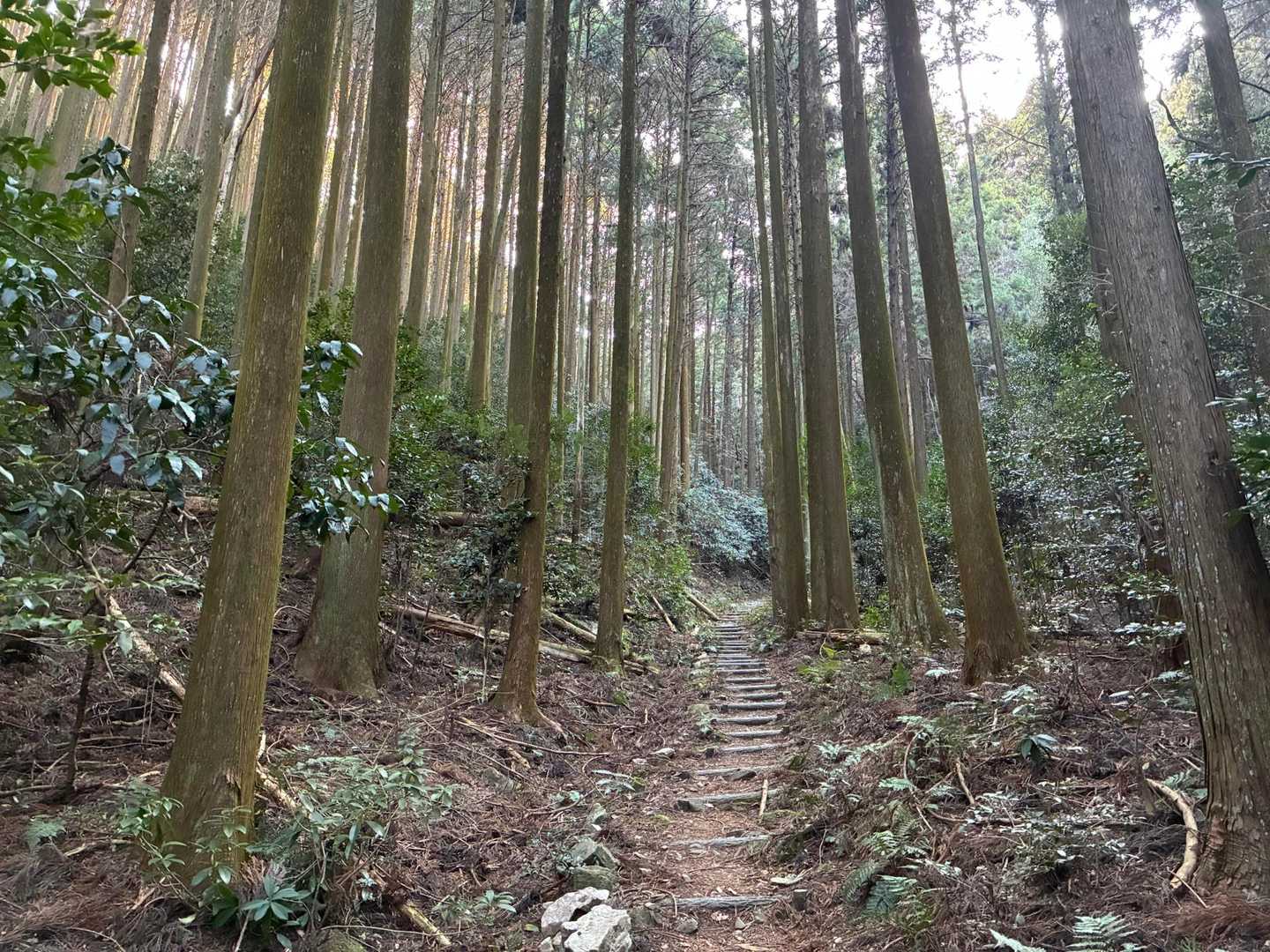 自然に囲まれリフレッシュ🌲
