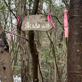 眺望全くなし😭