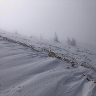 霧ヶ峰・車山・大笹峰 でもこれはこれで幻想的