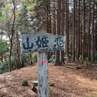 恋姫山到着⛰️