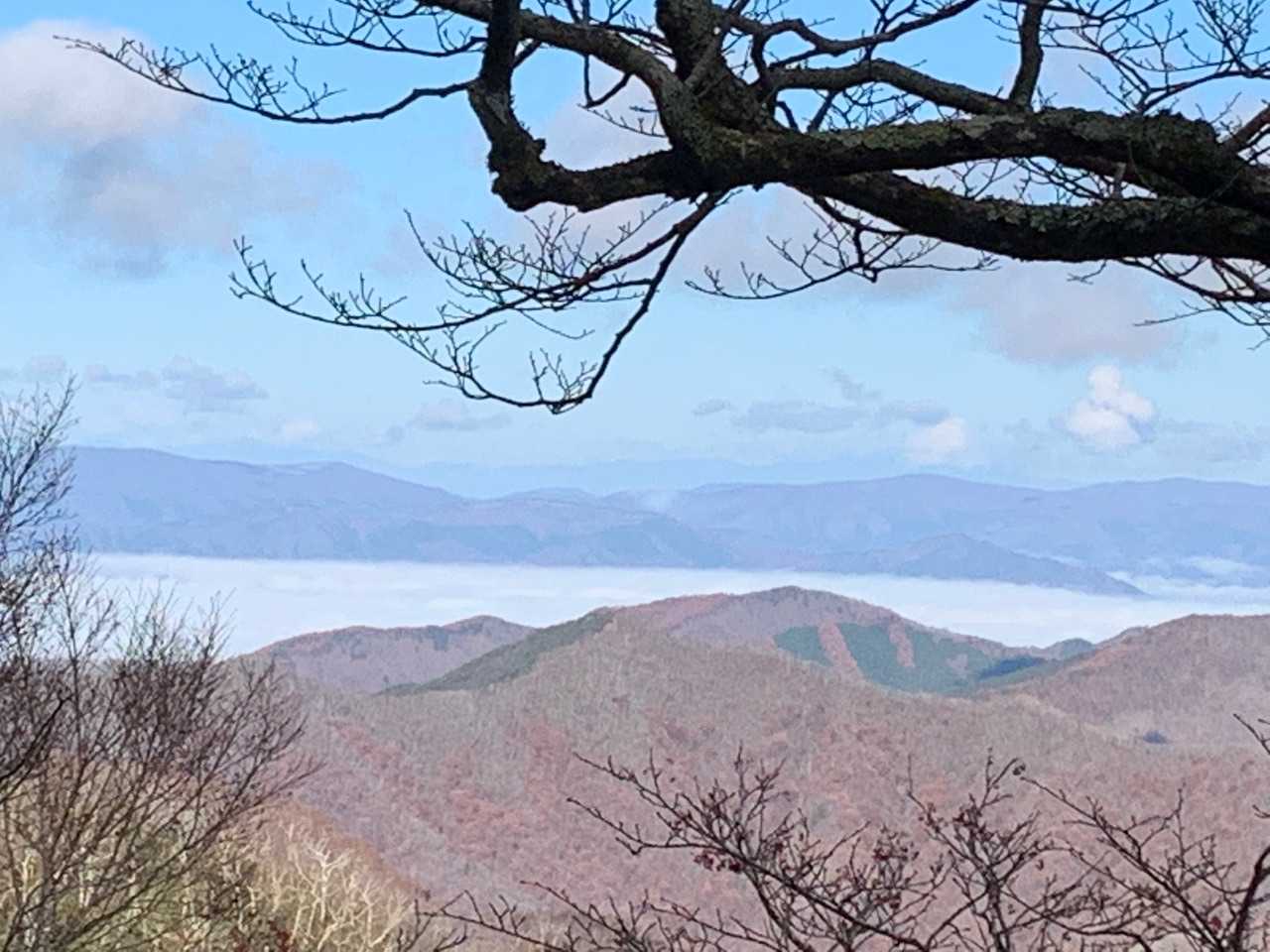 途中から綺麗な雲海が🥰