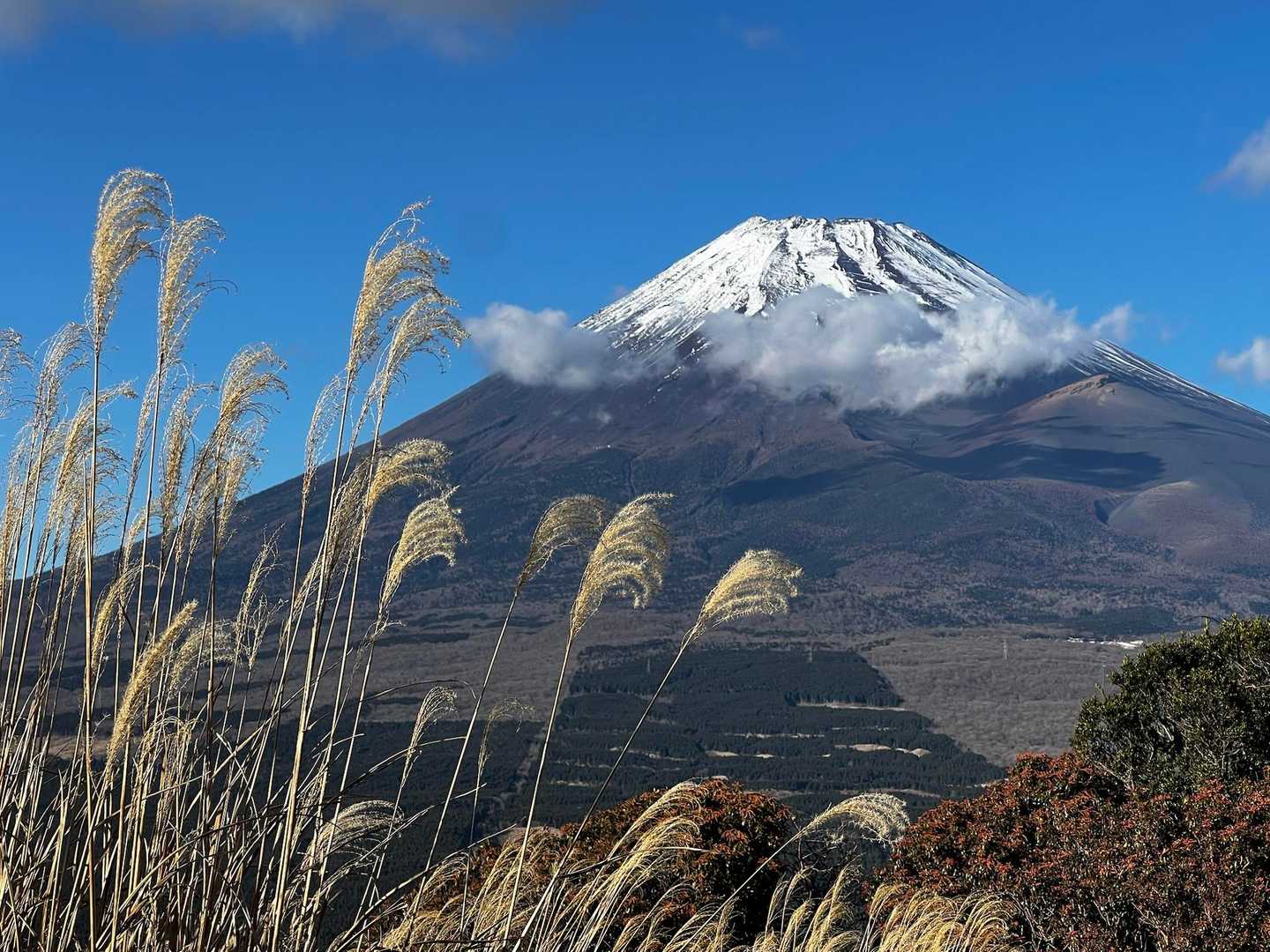 十里木-越前岳 往復コースの写真