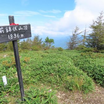 前鉢伏山とうちゃこ～♪
笹が濡れてなくてよかった😄