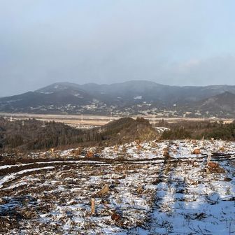 雪がチラついていそう