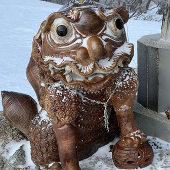 ティアラきらり👑