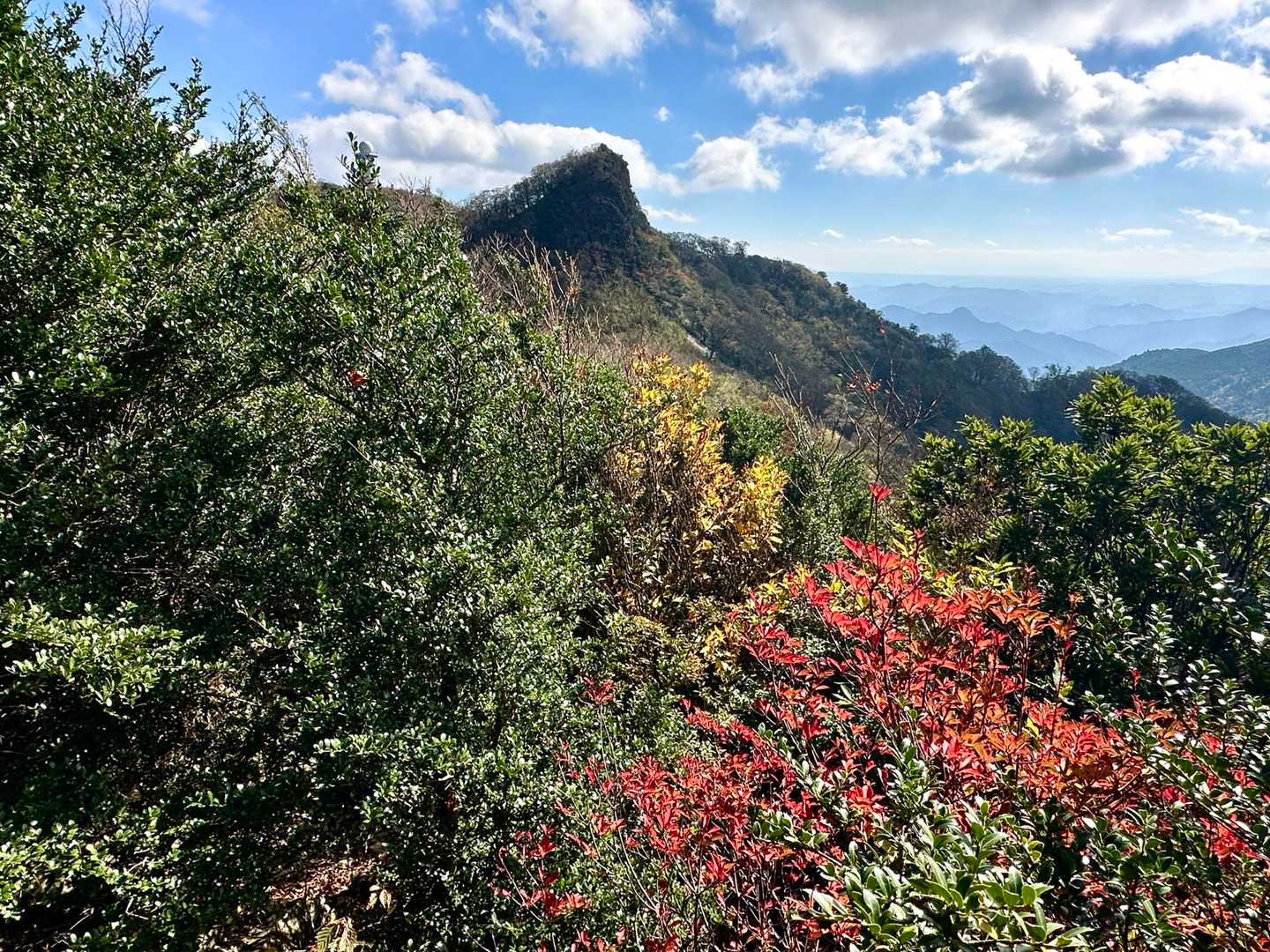 矢部越登山口-釈迦岳-御前岳-釈迦岳 周回コースの写真
