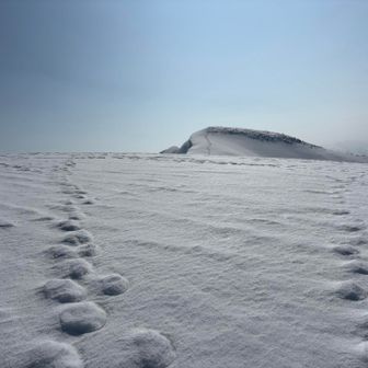 シュカブラ（波紋）、足跡で窪んだところに、風雪により盛り上がりできたもの。自然ってすごい