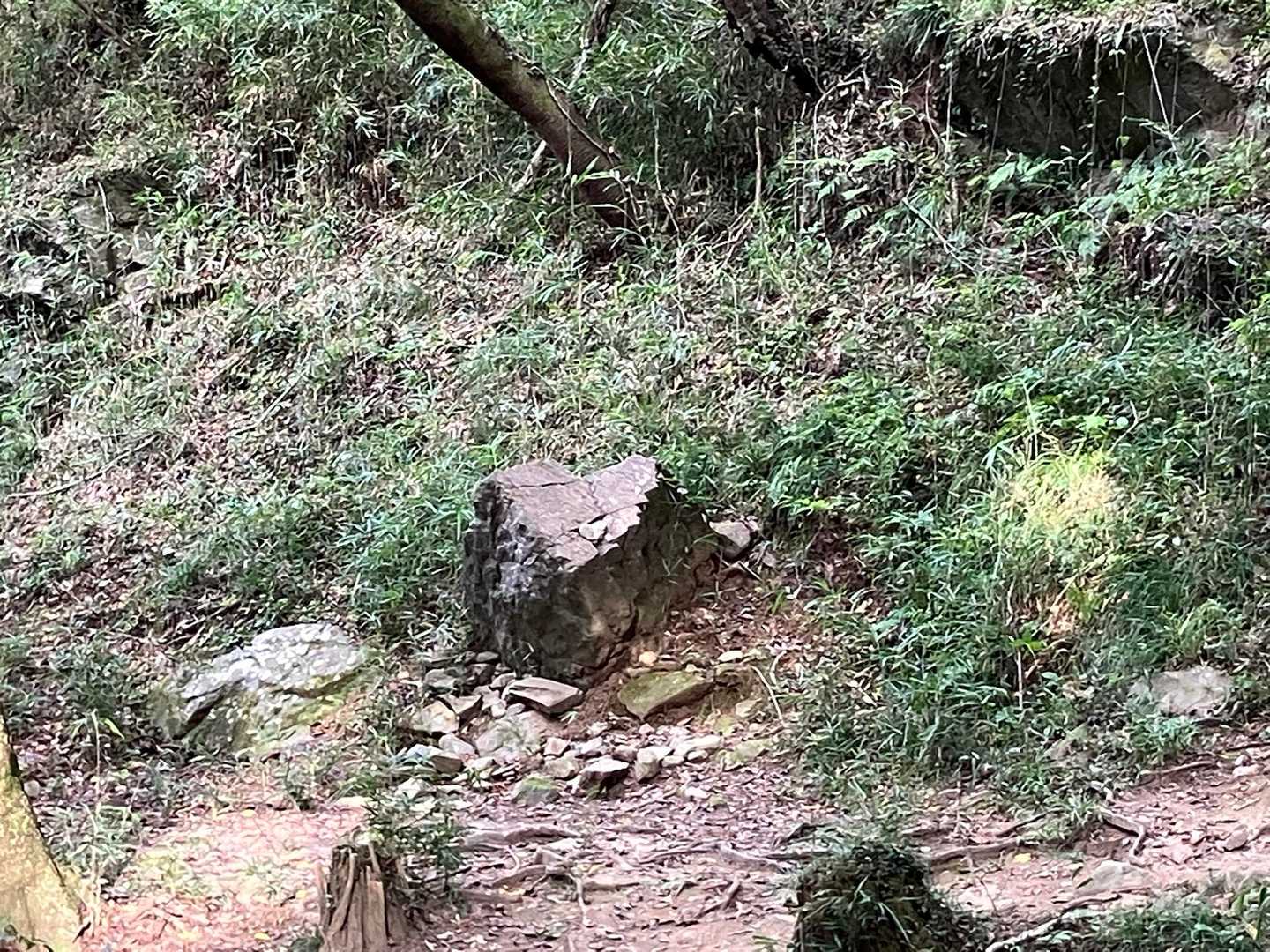 極楽寺コースの写真