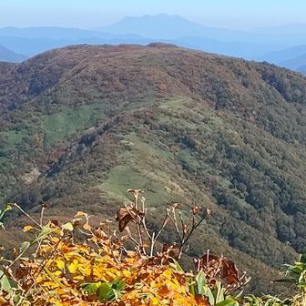 部子山の兄弟山の銀杏峰。登山者までは見えません。