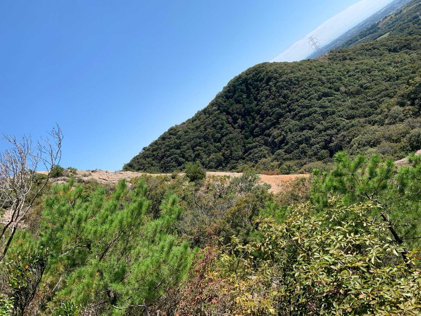 撮る角度間違えた😅
紅山を横から見た所
めちゃめちゃ平坦に見える笑