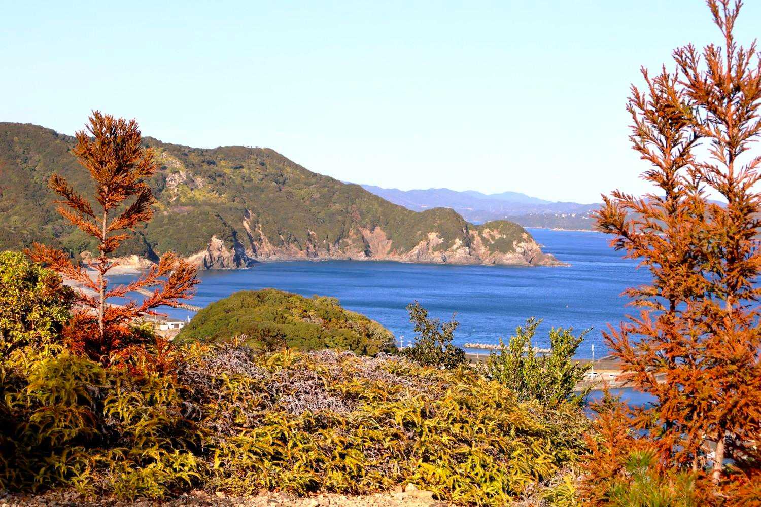 相賀浅間山-北峰-局ヶ頂-局ヶ頂西峰-塩竈浜-網代浜-米子 周回コースの写真