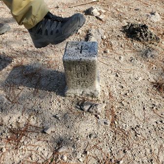 踏まんのかい🥾