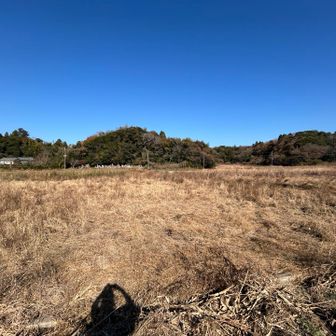 いったん、道路に出ました。
黒い車が遠くに見えたので、もしや整備をされている「うみすきさん」かと思いました。
大根を1本持った女性が乗り込みました。
よく見ると車が違いました💦大間違いでした😅

パパ山、浅間山を反対側から撮りました✨