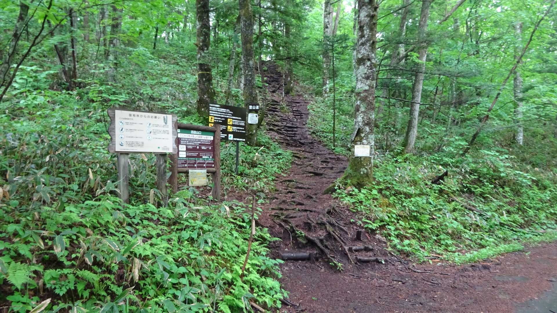 戸隠中社登山口。
ここから飯縄山、瑪瑙山と巡って周回するコースへと入っていく。