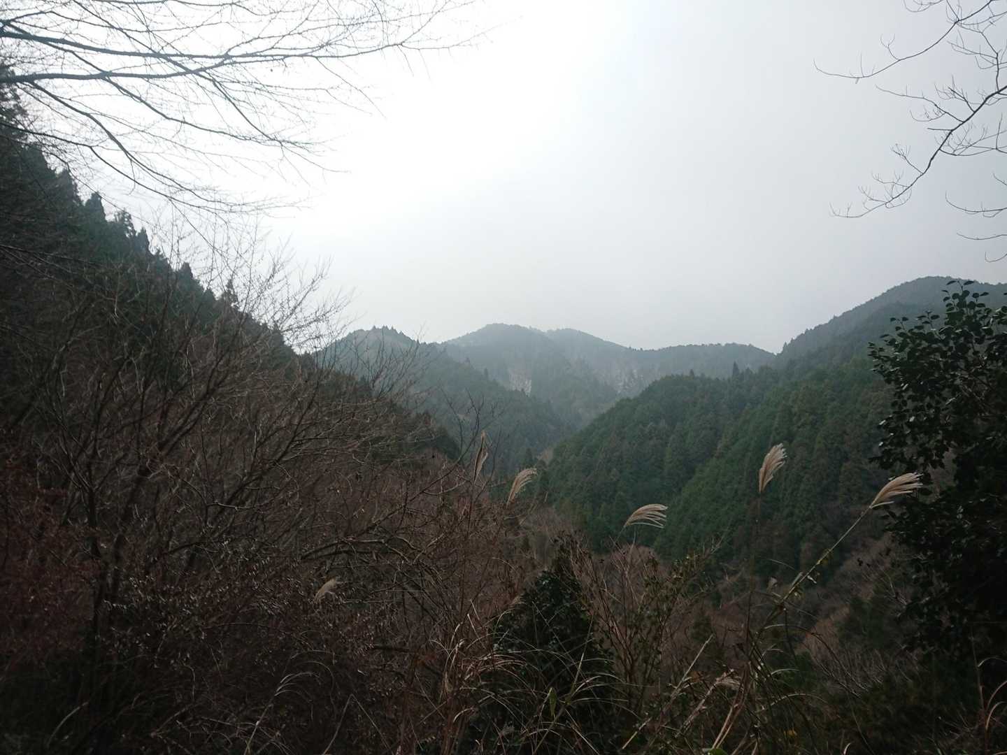 今日は曇りですが
金剛山なら良いでしょう❗
