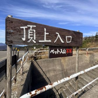 登山口