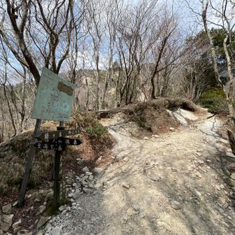 武平峠まで下りてきた。途中、道を間違えて違う沢を下りかけてビビりました。あのまま下りていたら遭難したかも。ドンくさい😞