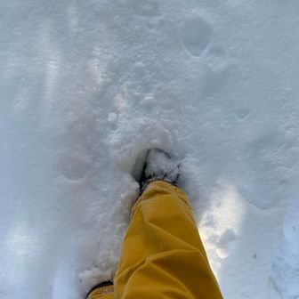 きょうはツボ足で行けました